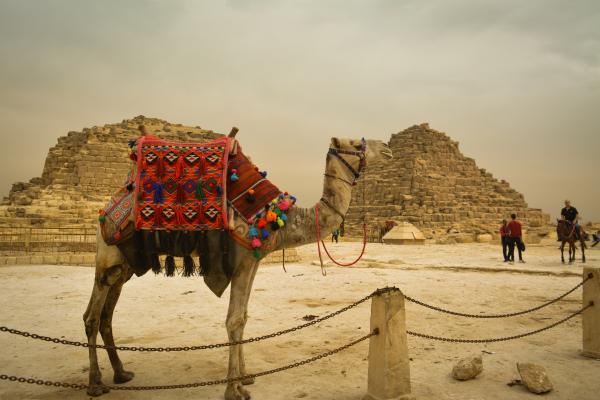 DREAMS BEACH RESORT SHARM 5 * - Šarm Aš Šeichas - Šarm Aš Šeichas, Egiptas